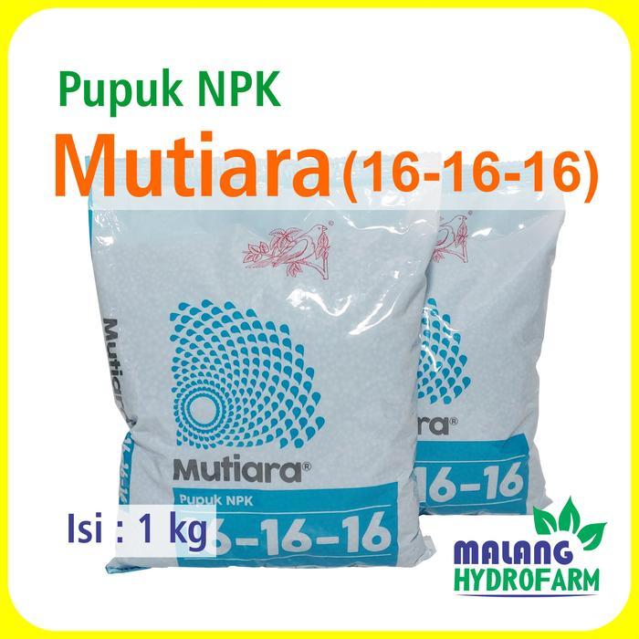 Pupuk Mutiara 16 - 16 - 16 1 kg pertanian aglaonema npk pot sayur daun