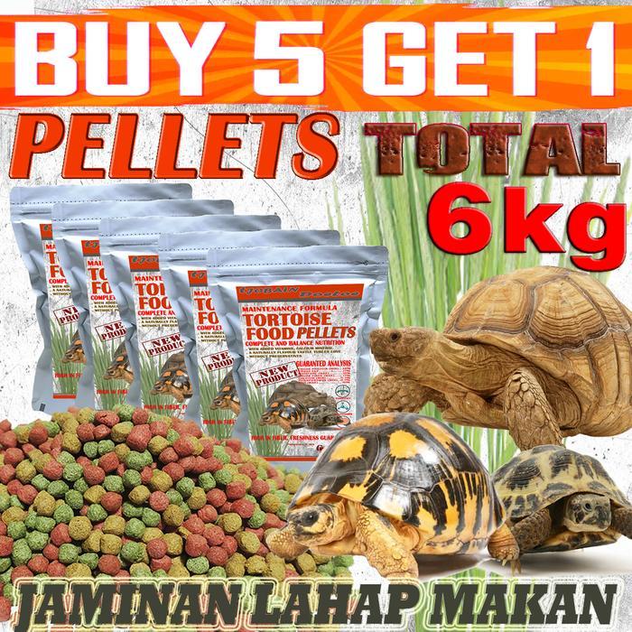 DISKON TORTOISE SULCATA SULKATA MAKANAN KURA-KURA DARAT PARDALIS CHERRY HEAD INDIAN STAR INSTAR
