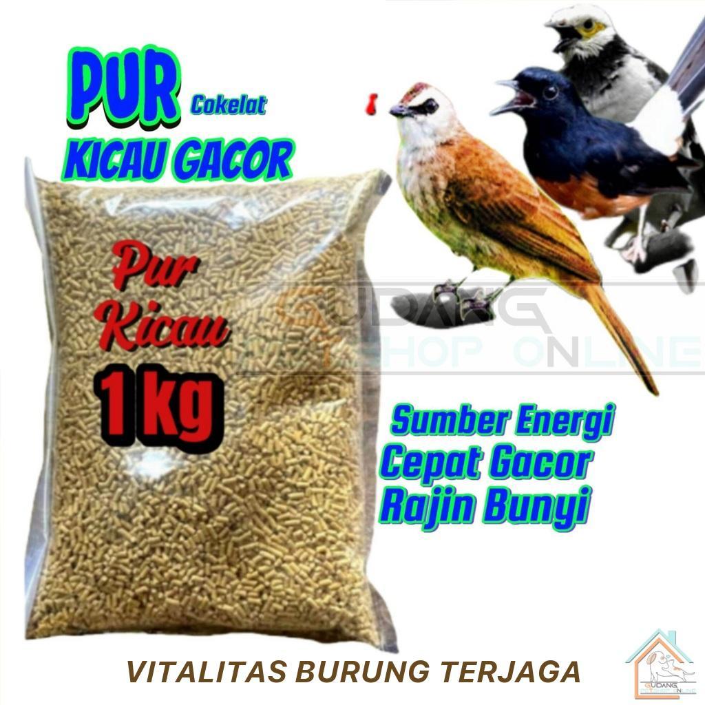 Pur Burung Curah Voor Burung Kiloan 1kg Umpan Burung Curah Kiloan 1kg Bikin Gacor