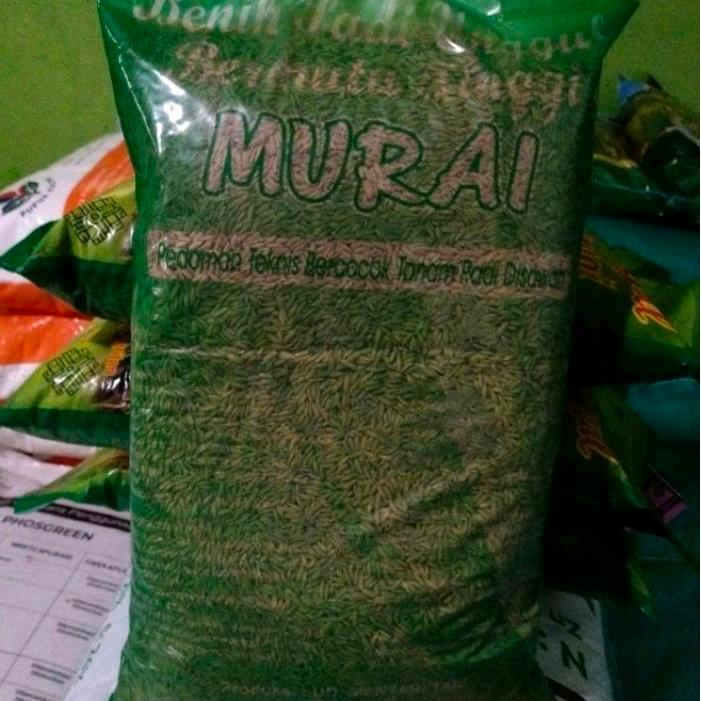 Inpari 32 HDB Cap Murai 5 kg, Label Ungu, Bibit padi Berkualitas Tinggi. Benih padi. Daun