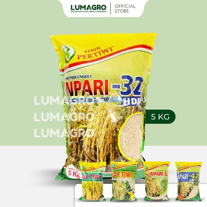 Benih Padi Pertiwi Inpari 32 5kg Premium Bibit Pari Berkualitas 5 Kilogram