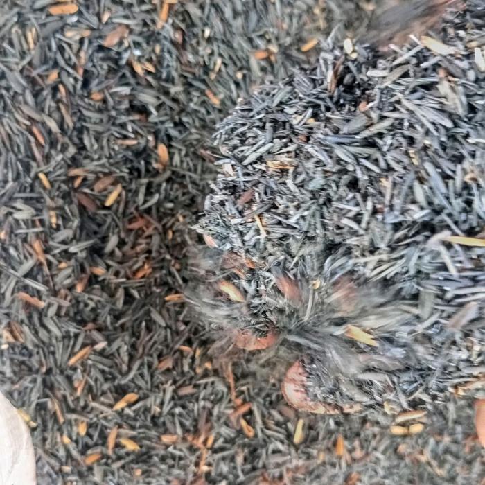 SALE paket sekam bakar + sekam mentah fermentasi