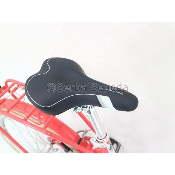 Sepeda Keranjang - Sepeda Polygon Lovina 24