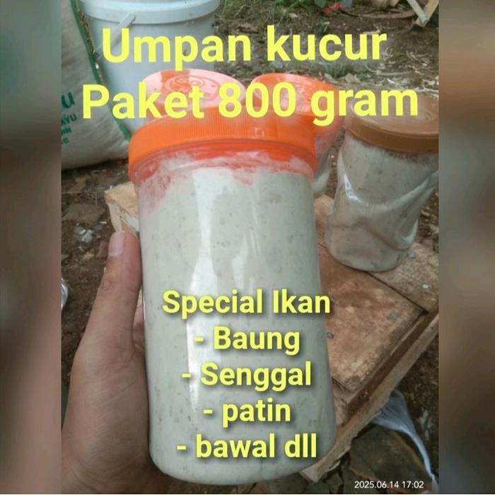 UMPAN KUCUR 800 GRAM/ UMPAN MANCING / UMPAN PANCING SPECIAL IKAN BAUNG PATIN KETING BWAL LAIS