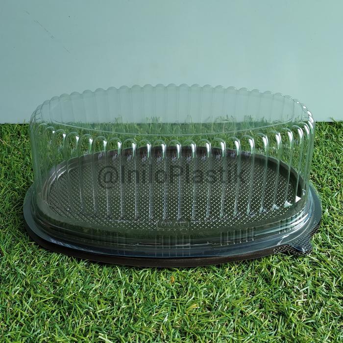 Mika Cake Oval / Mika Oval / Mika Tart Mika Siffon