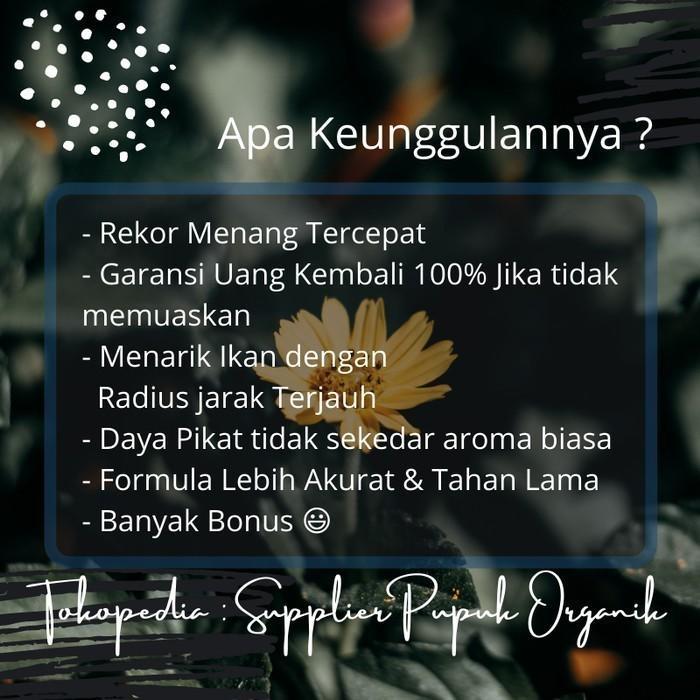 Essen Ikan Nila ,Essen Ikan Nila Babon,Essen Ikan Nila Liar,2