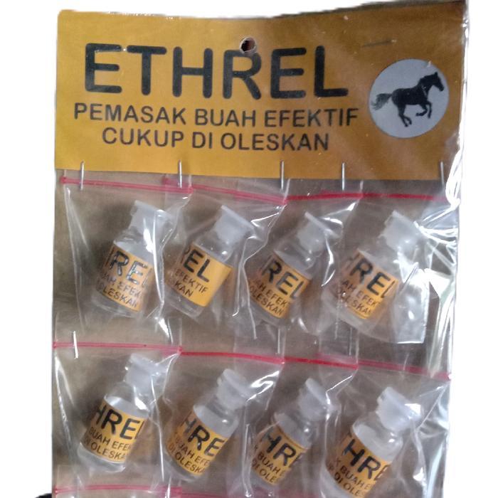 etrel pemasak buah...24 pcs