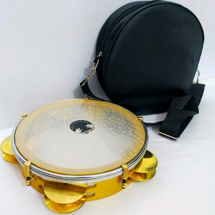 TERLARIS RIQ TAMBORIN SIZE 83/4 FULSET+TAS