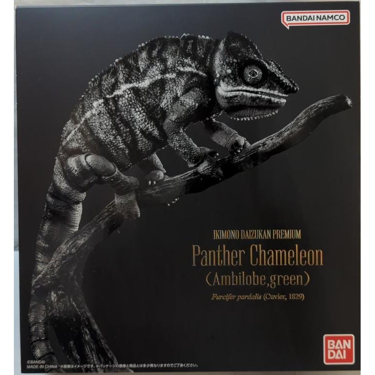 Bandai Living Creatures Encyclopedia Premium - Panther Chameleon Ambilobe Green