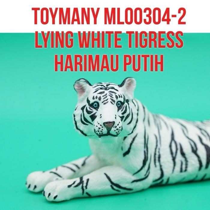 Grafi - Toymany Ml00304-2 White Tigress Tiger Macan Harimau Putih Bengala Bengal Betina Panthera