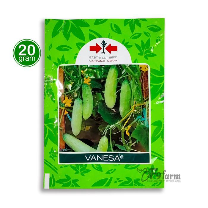 Benih Timun lalap - bibit mentimun hijau Vanesa panah merah 20 gram