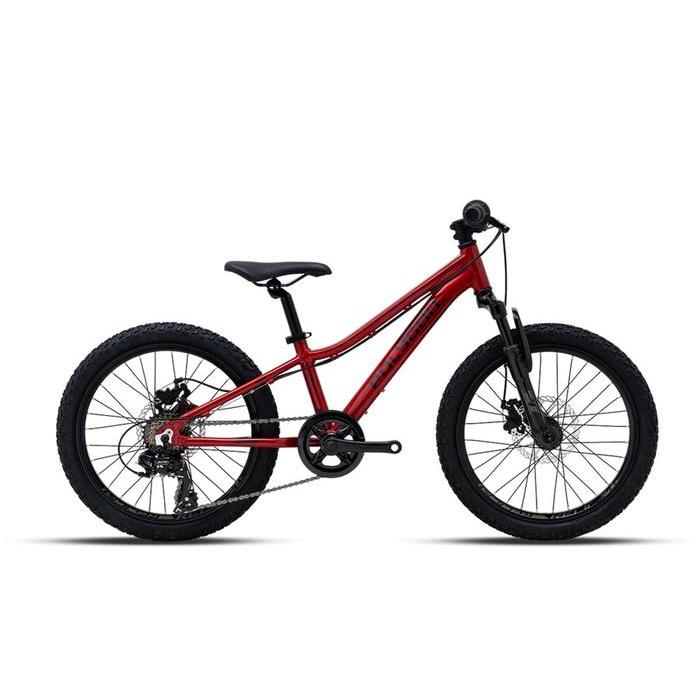 Polygon Relic Mountain bike junior Sepeda anak Polygon ban 24 inch
