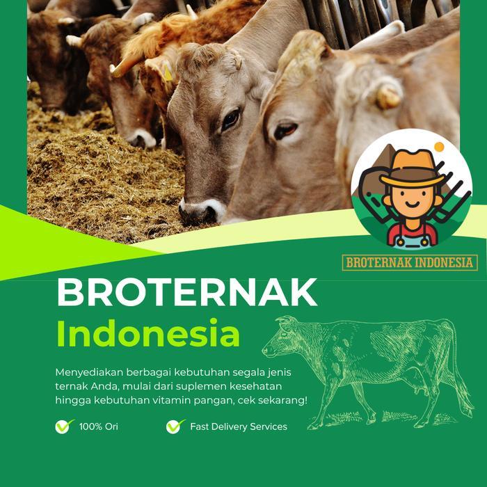Arthamix Pig 1 Kg - Suplemen Babi 1 Kg - Suplemen Ternak Babi - Premix Babi
