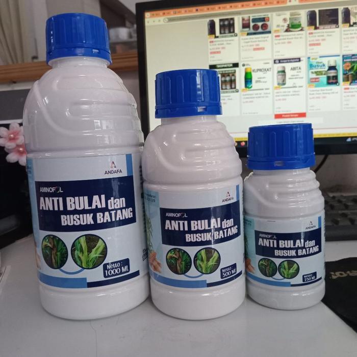 Anti bulai dan busuk batang tanaman pencegah penyakit busuk daun batang
