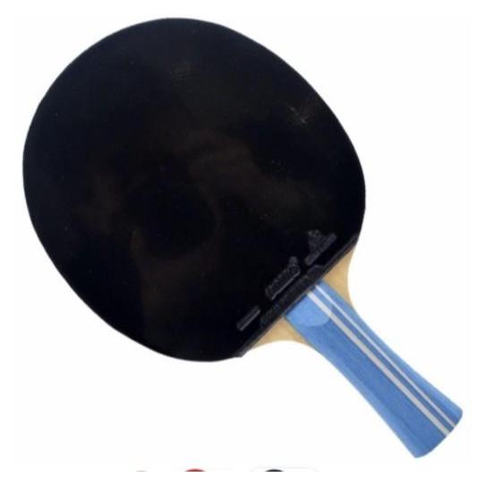 Bat Palio 2008 Carbon Bet Tenis Meja Pingpong