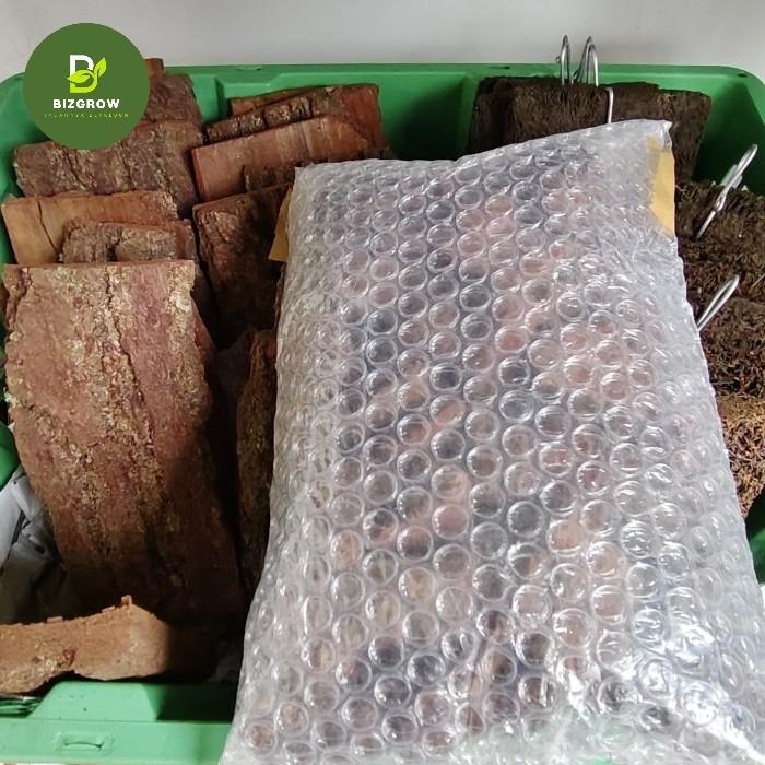 Media Tanam Kulit Pinus Cacah Pine Bark