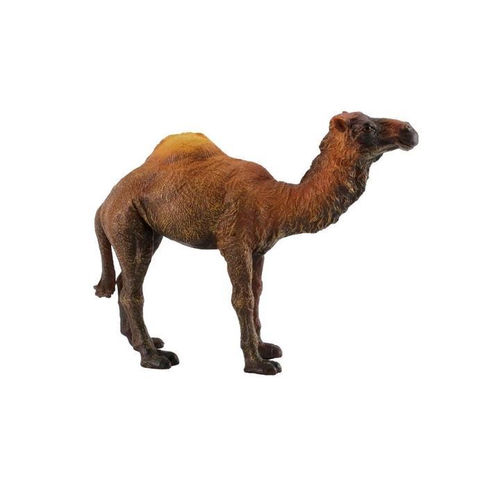 COLLECTA FIGURE DROMEDARY CAMEL 88208 ORIGINAL NUKCHA