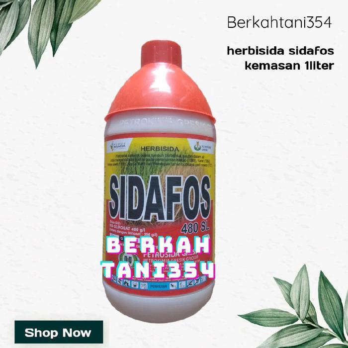 herbisida sidafos 1liter obat rumput sidafos 1liter herbisida sidafos