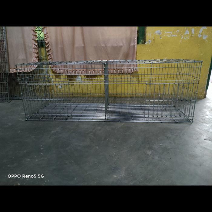 KANDANG STARTER DOC MULTI FUNGSI AYAM KELINCI BURUNG DARA MARMUT