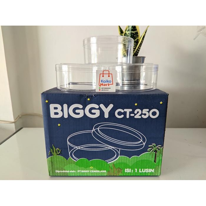 TOPLES BIGGY ROUND / BULAT / KUE KERING 1 LUSIN - WADAH KUE KERING