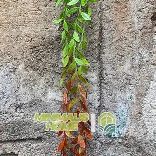 NEW Daun Hoya Costa Juntai Plastik Lee Kwan Yew Daun Tirai Rambat Artificial Dekorasi Minimalis