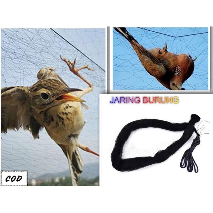JALA BURUNG PUKAT BURUNG JEBAKAN