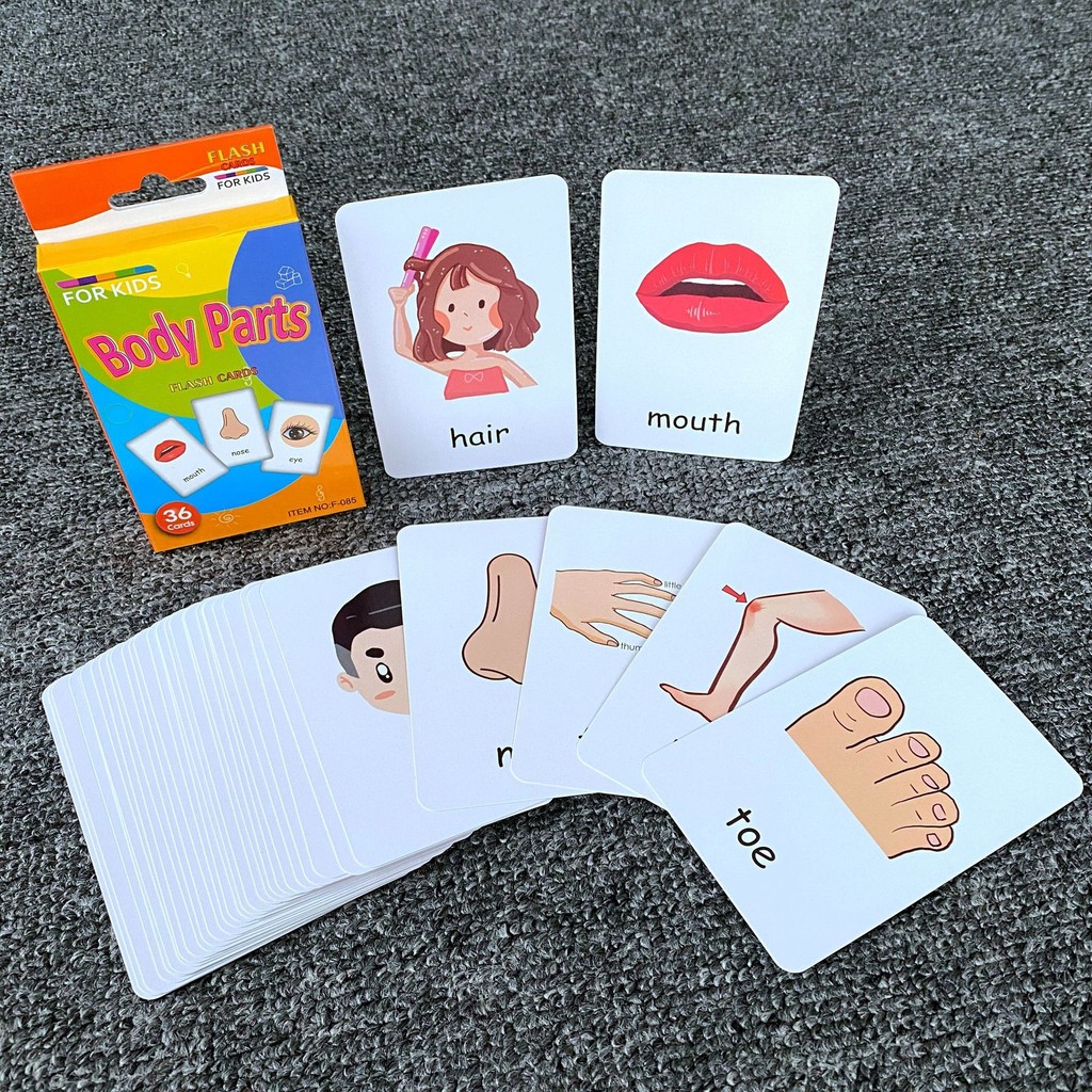 Harga Visual Cards Terbaru Feb 2026 | BigGo Indonesia