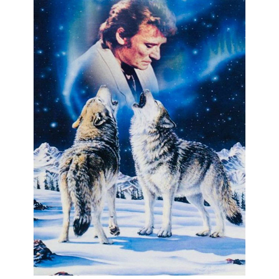 5D Diy Diamond Painting Johnny Hallyday Portrait Cross Stitch Kit Full Square Round Diamond Mosaic E