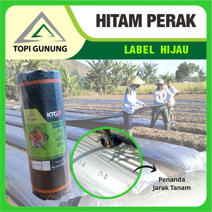 TGR Mulsa Topi Gunung - Hitam Perak Besar - 17 kg - Label Hijau