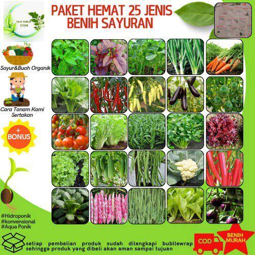 PAKET 25 MACAM BENIH SAYURAN + BONUS