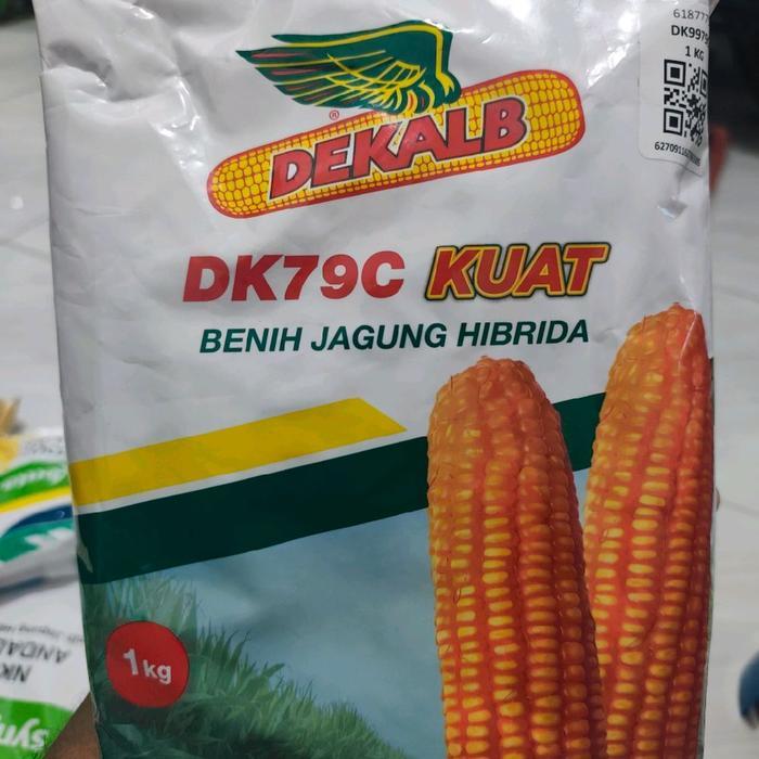 Benih Jagung Dk79c Kuat 1 kg