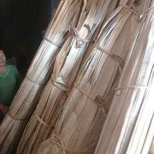 PELEPAH PISANG KERING GEDEBOD GEDEBOK GEDEBONG BATANG PISANG