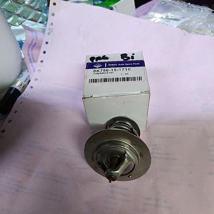Thermostat Kia Pregio Travello