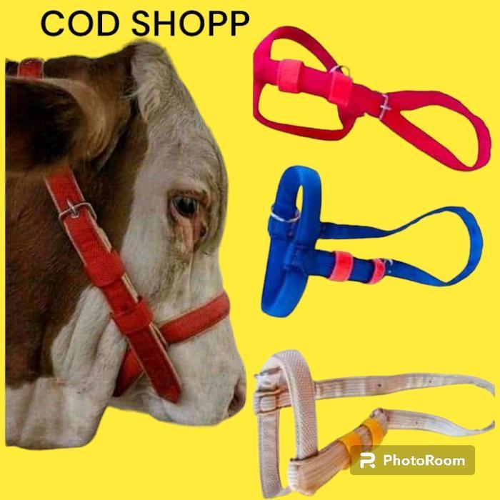 Halter Sapi Bacok Sapi Brangus Sapi Tali sapi Kalung Sapi