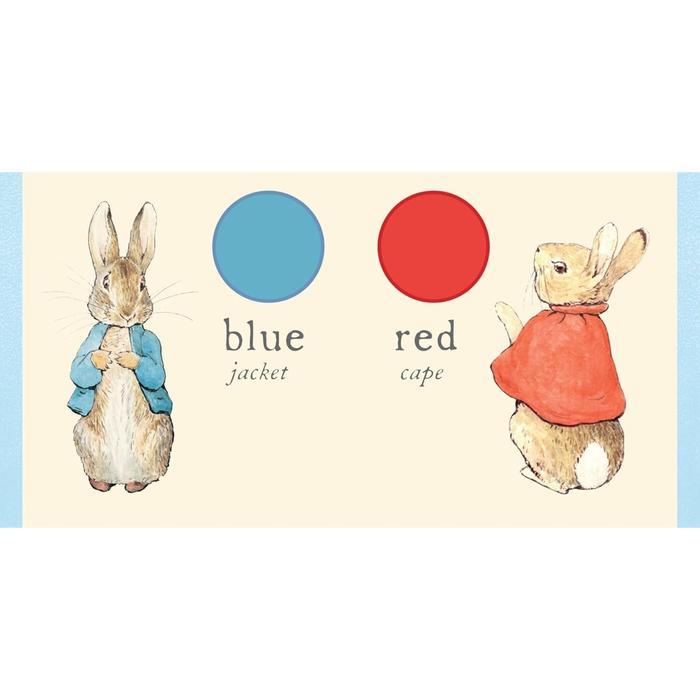 Peter Rabbit My First Little Library