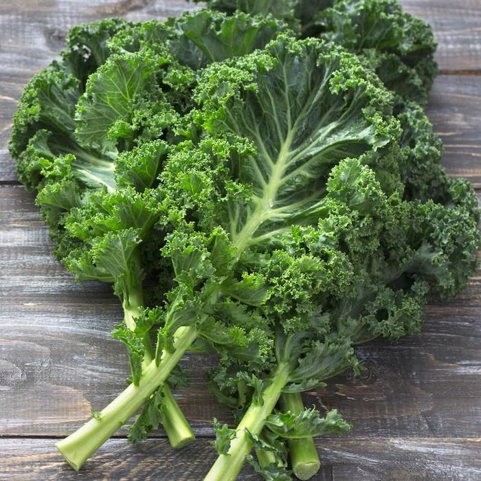 NEW Daun kale organik / kale curly / sayur kale