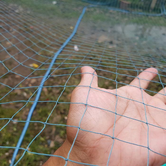 READY Jaring Ikan Anco Mujaer Nila Lubang 2 Inchi
