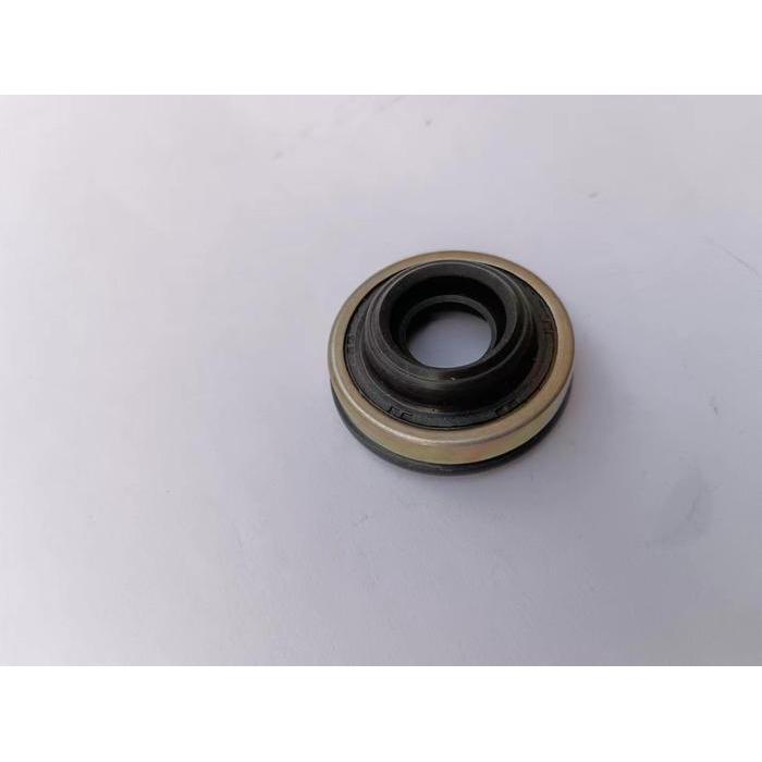 Shaft Seal 10P30B Stainless