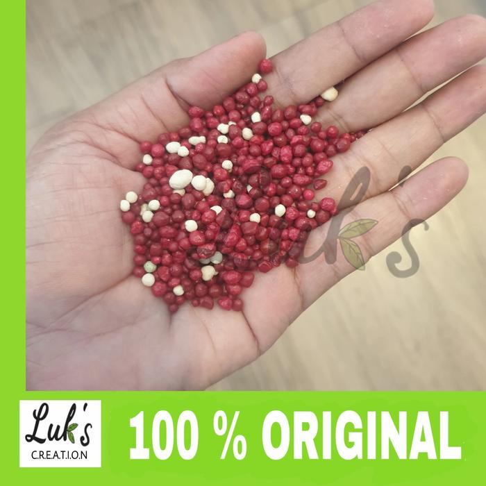 Pupuk Merah Osmocote 19-10-13 +2.5Mgo + Te 500 Gram Dekastar