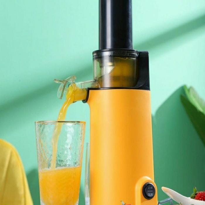 Mini Slow Juicer Idealife