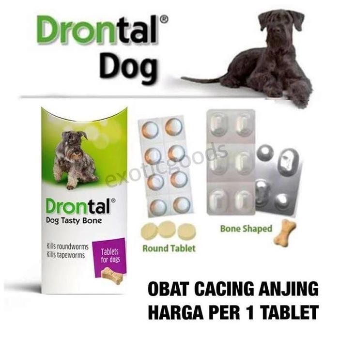 TERLARIS DRONTAL DOG 1 TABLET OBAT CACING ANJING OBAT ANJING DRONTAL ANJING DRONTAL PLUS CACING