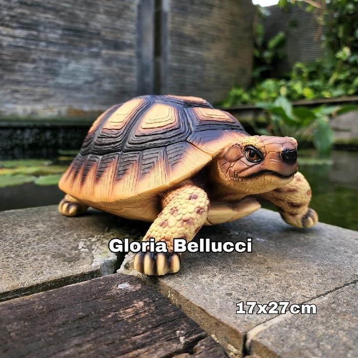 Ready patung kura kura sulcata pajangan kura2 tortoise africa besar