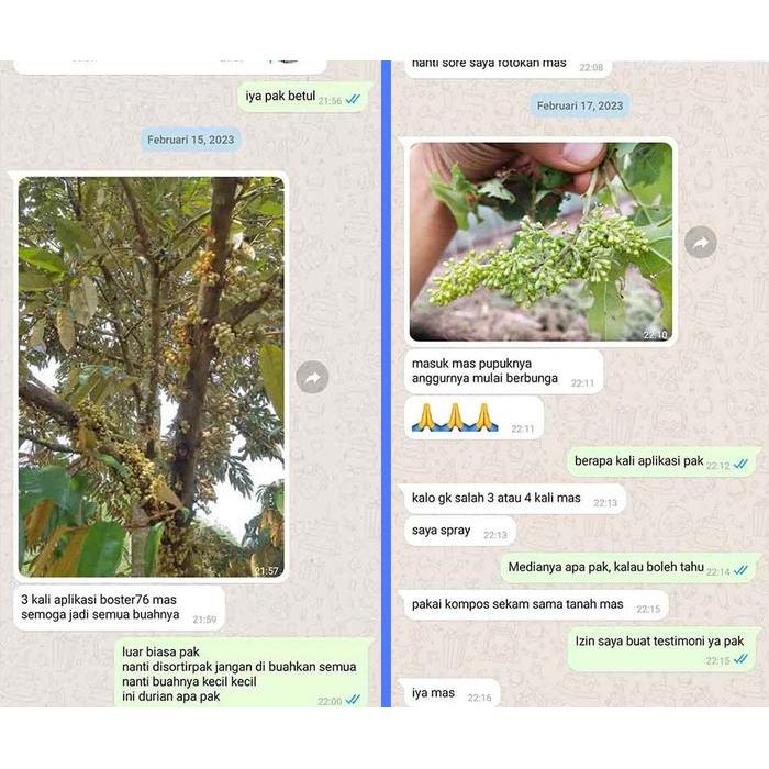 Booster 76 Hormon Pembungaan Dan Pembuahan - Hormon Dan Pupuk Buah Dan Tanaman Bunga Pohon Original