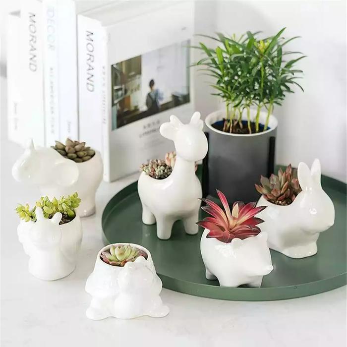 Ada Stok Artificial Succulent in Pot Import China - Pot Keramik