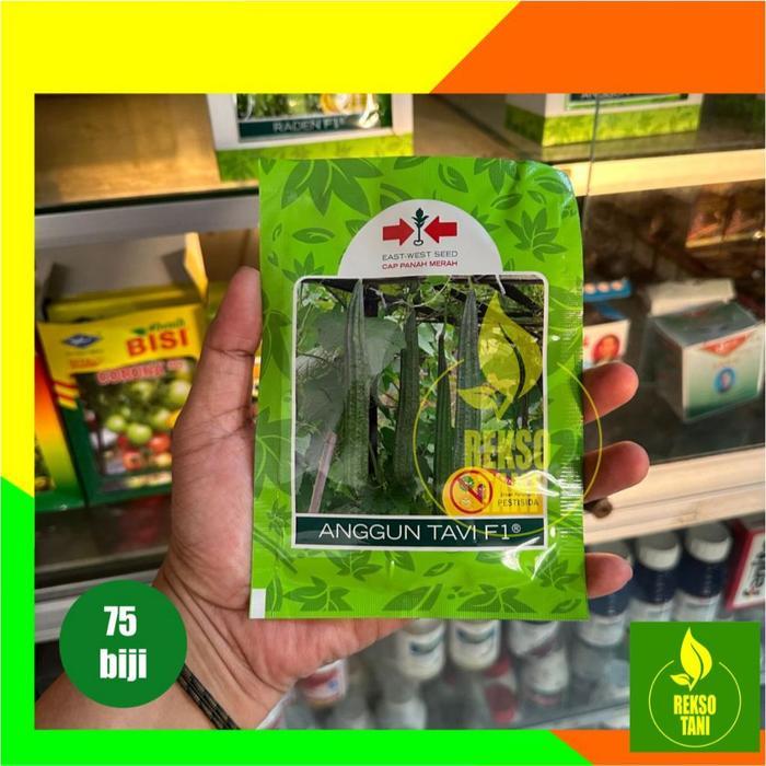 Benih Gambas/Oyong Anggun Tavi -75 butir