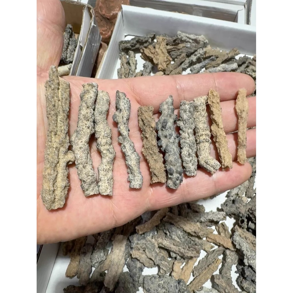 FULGURITE LIGHTNING GLASS FUSED SAND Desert Specimen SAHARA DESERT