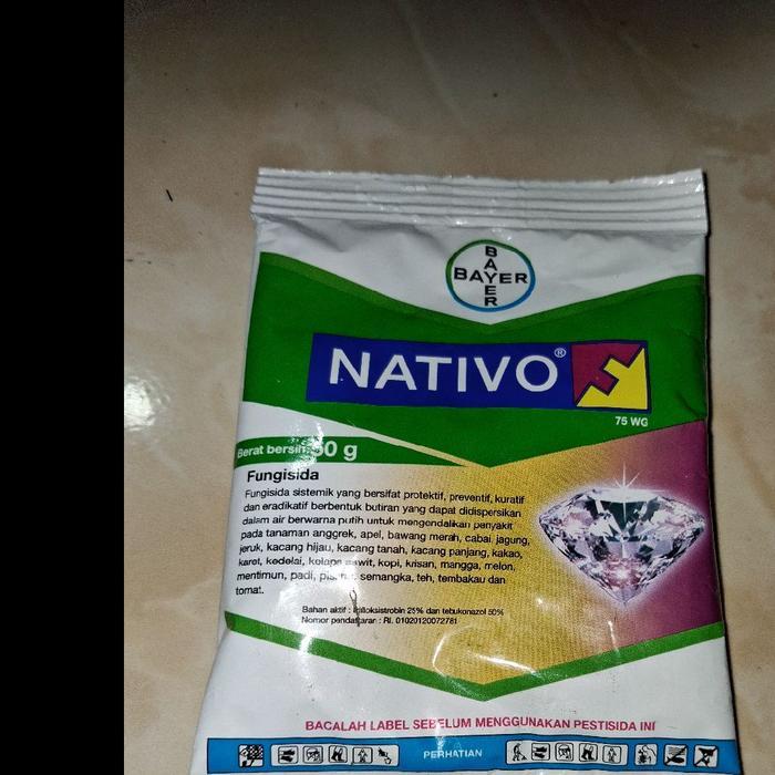 Bayer Nativo 50 g Fungisida untuk Mengendalikan Penyakit pada Tanaman Padi Cabe Jagung Kelapa Sawit