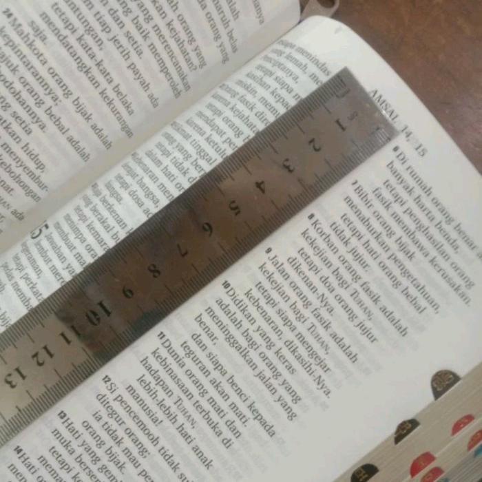 Alkitab Lansia Tulisan Besar Terjemhan Baru (Alkitab 064 Bl Geometri Tb2)