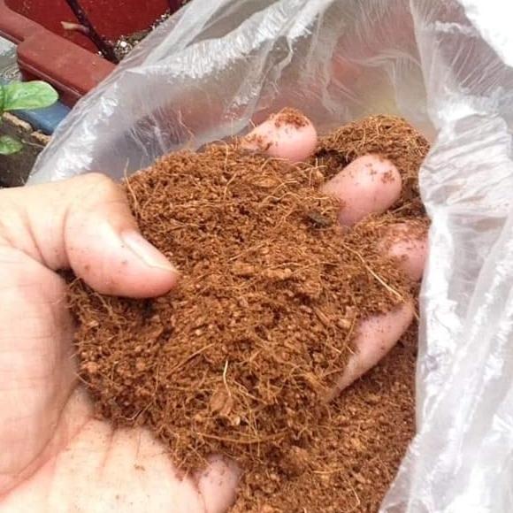 cocopeat halus