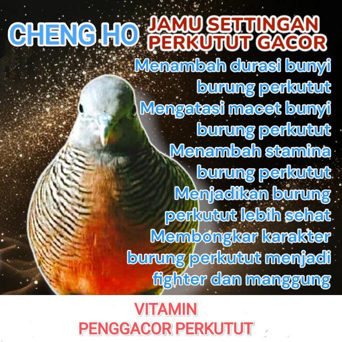 CHENGHO VITAMIN OBAT PENGGACOR BURUNG PERKUTUT